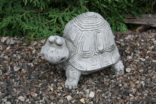 KA191 Happy Tortoise